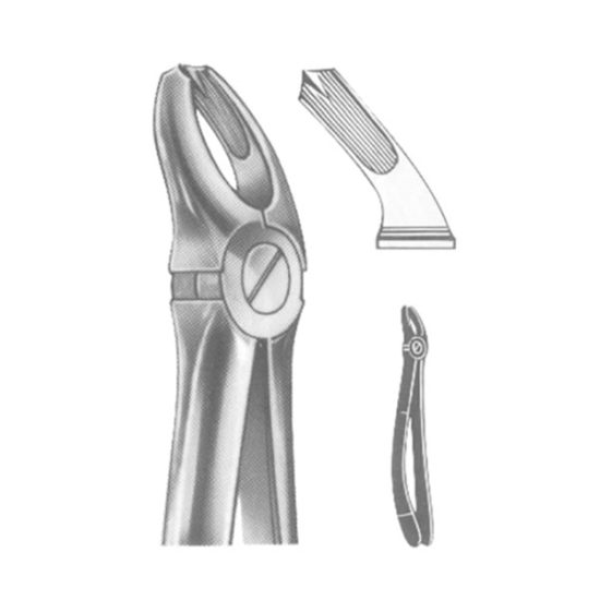 Extracting Forceps , English Pattern